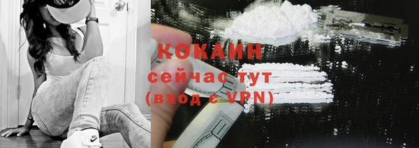 прущие крисы Верея