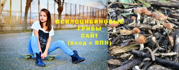 прущие крисы Верея