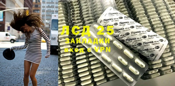 прущие крисы Верея