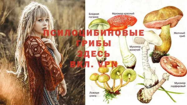 гидропоника Верхний Тагил