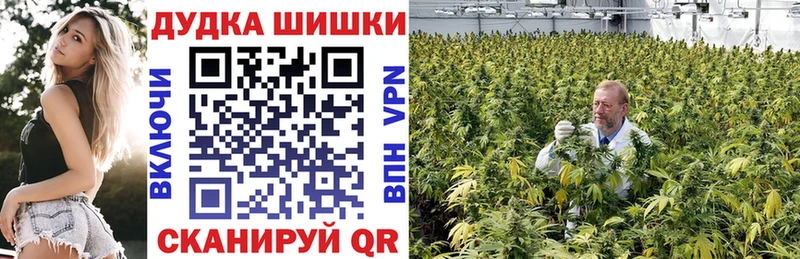 Бошки Шишки сатива  Купить где  Анива 